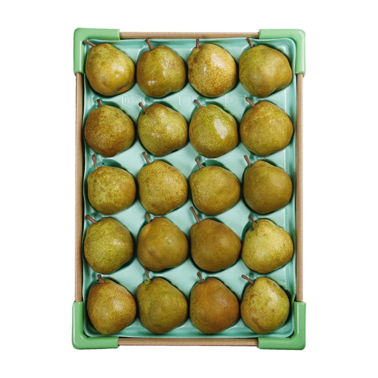 【送料無料】 訳有り 山形県産「西洋梨」約5kg（サイズ品種おまかせ）※傷、変形、サビ等あり