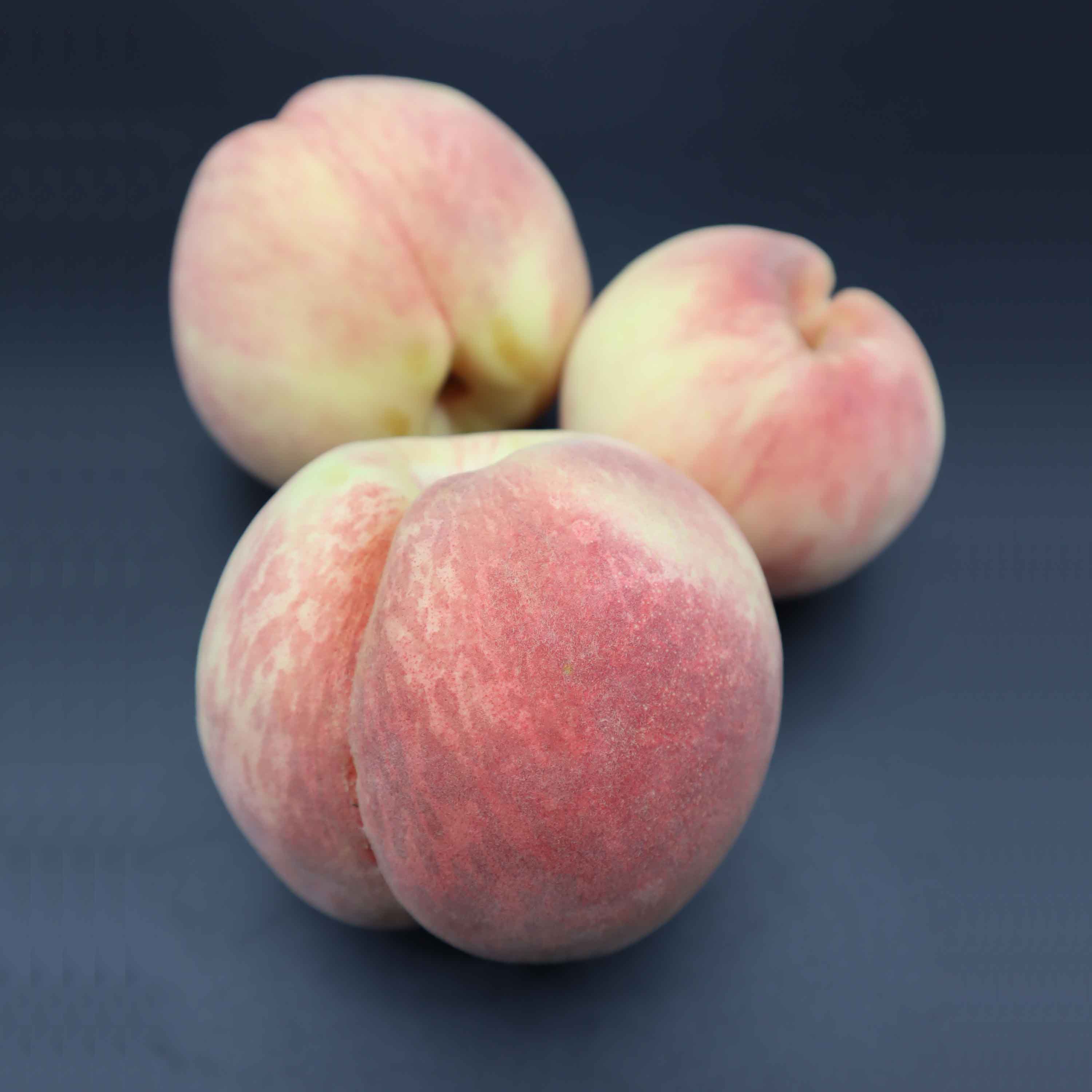 【新商品】【送料無料】山形県産白桃「硬おもい」2kg（4-6玉入り）