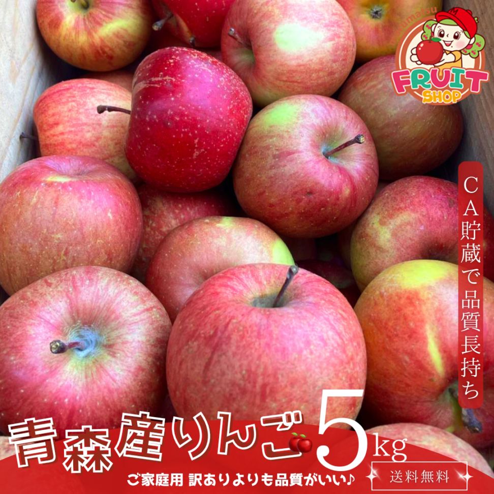【前払い不可】限定1000箱 CA貯蔵でこの時期にりんごが食べられる！ 品質よし ご家庭用青森産徳用りんご 約5kg サイズおまかせ 規格外品 ※小傷色ムラ変形等あり フジ さんふじ 林檎 産直 自家用 青森
