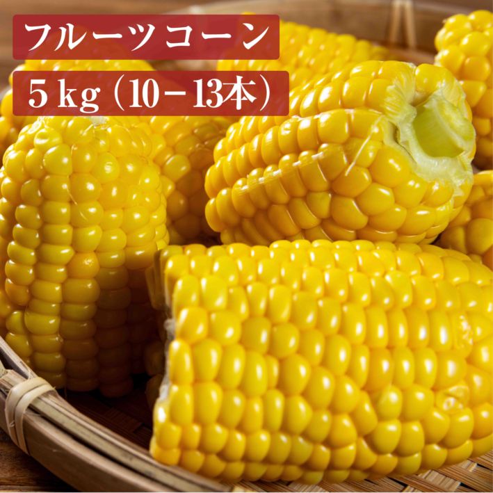 【送料無料】山形県産「フルーツコーン（おおもの）」5kg（10-13本）L-4L