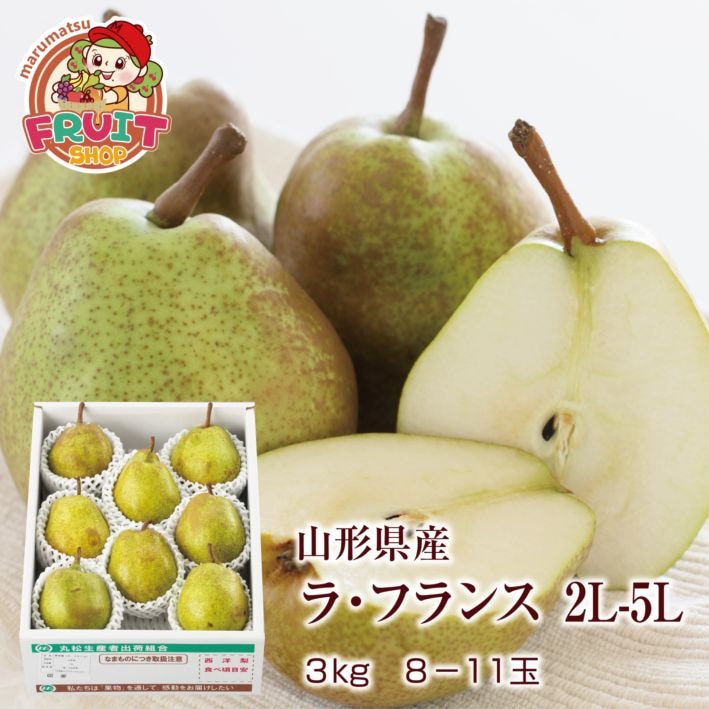 【予約】山形県産洋梨「ラ・フランス」3kg（8-11玉）2L-5L