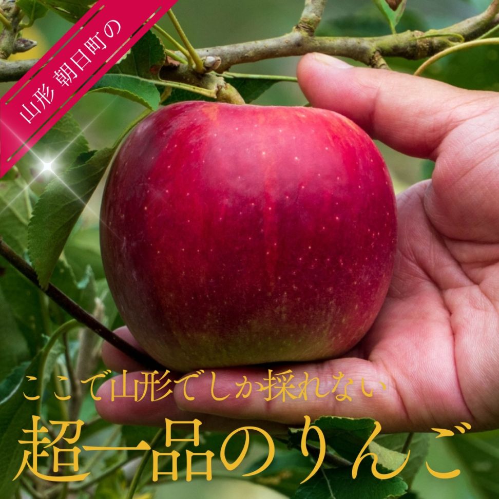 【予約 発送確約不可】超一品 最高級フルーツ 山形県朝日町産 特秀「サンふじ」5kg 厳選した果実のみの発送 　