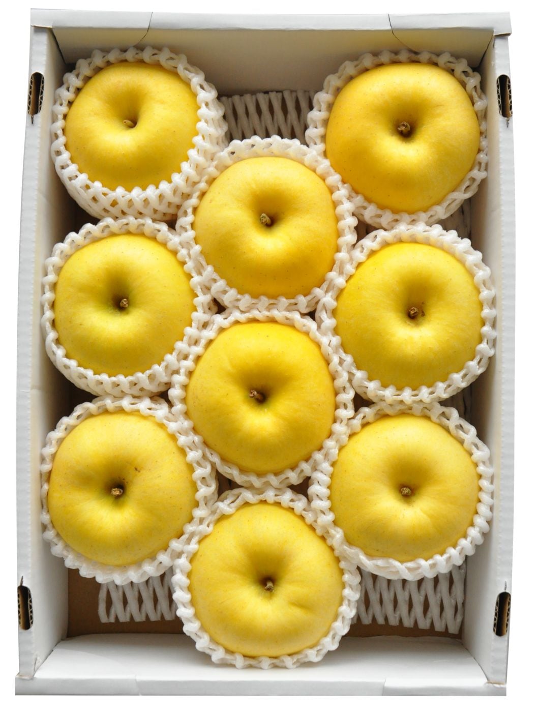 【前払い不可】【送料無料】山形県朝日町産「はるか」3kg（6-10玉）