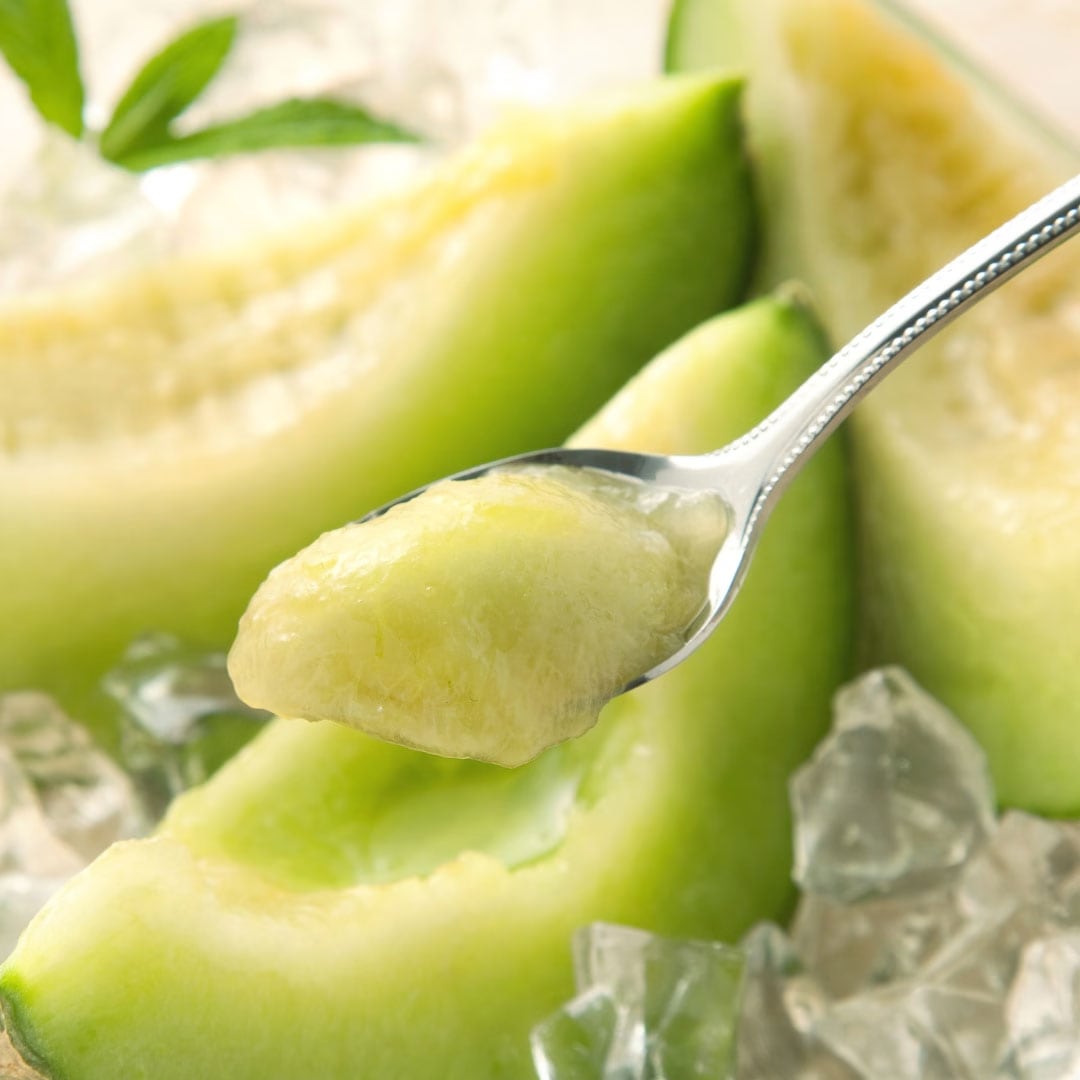 山形 庄内メロン