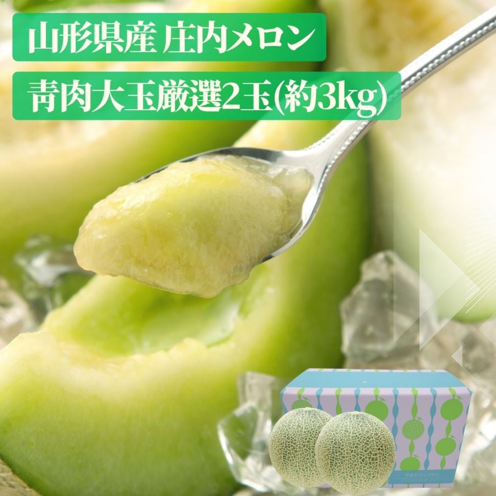 【前払い不可】大玉厳選！山形県産「庄内砂丘メロン」3kg（青肉2玉）