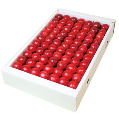 山形県産さくらんぼ「佐藤錦」特選いずみ1kg化粧詰