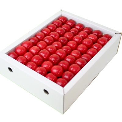 ���������������ܡֺ�ƣ�ӡ�����������500g���ѵ�