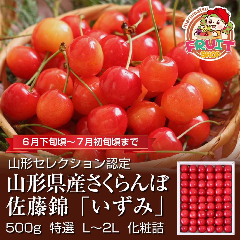 【送料無料】山形県産さくらんぼ「佐藤錦」特選いずみ500g化粧詰