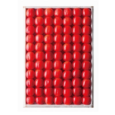 ���������������ܡֺ�ƣ�ӡ����������߶���1kg��Ȣ��