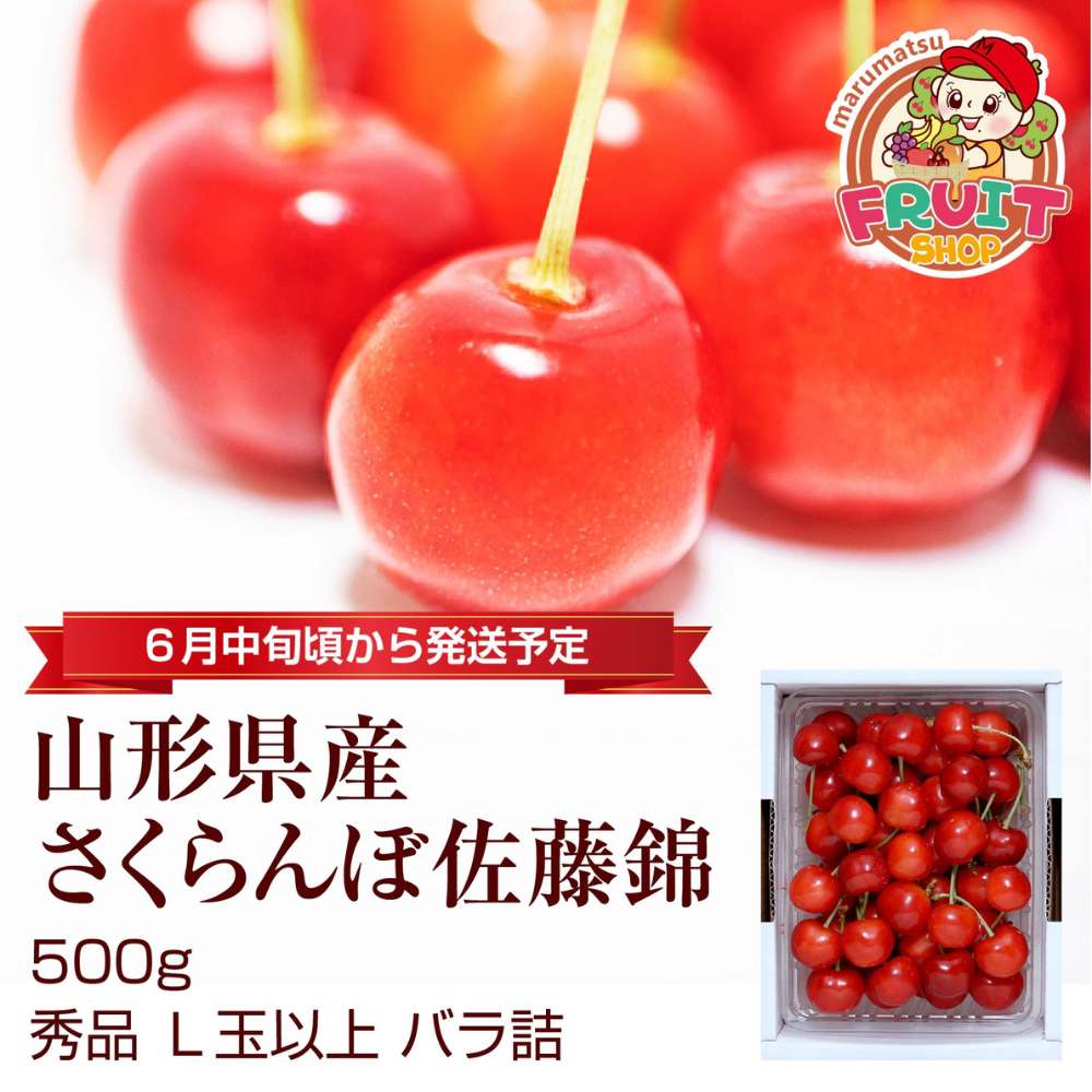 【送料無料】山形県産さくらんぼ「佐藤錦」秀品500g（500g×1P）バラ詰