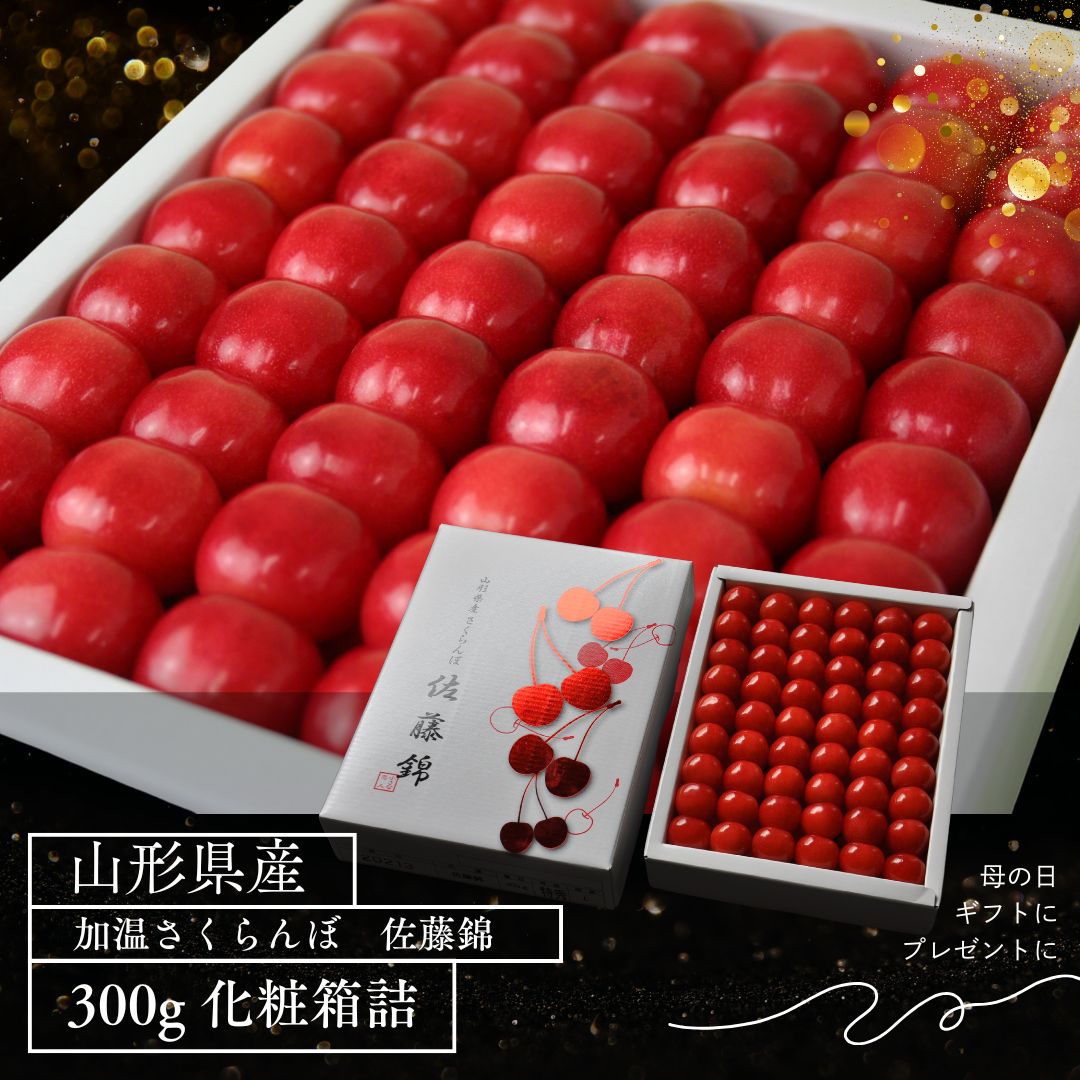 【送料無料】山形県産ハウス栽培初ものさくらんぼ「佐藤錦」300g化粧詰(1段詰)