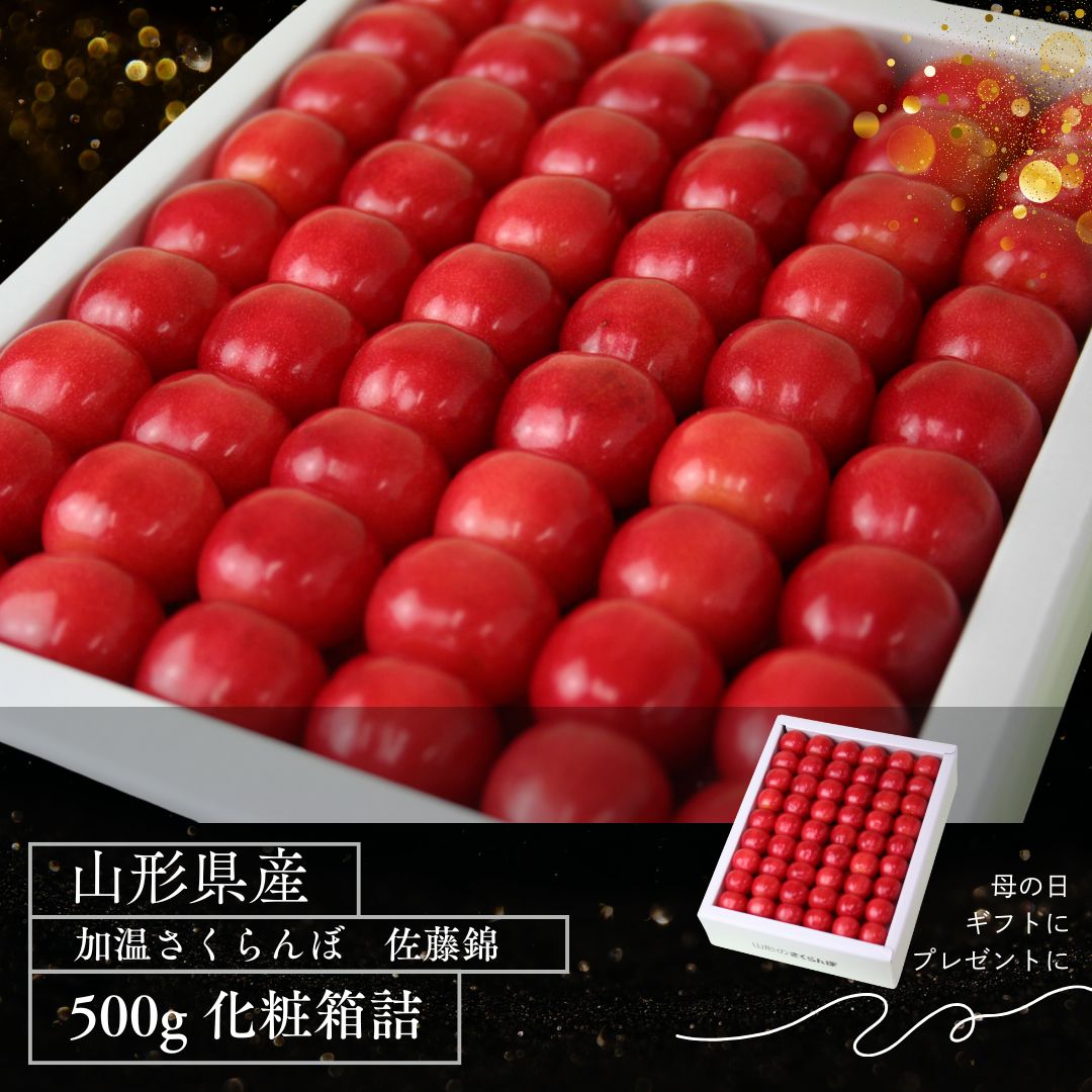 【送料無料】山形県産ハウス栽培初ものさくらんぼ「佐藤錦」500g化粧詰（2段詰）