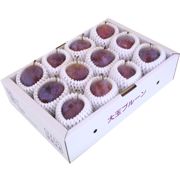 【送料無料】【限定100箱】山形県産プルーン大玉「パープルアイ」1.5kg（11-15玉）