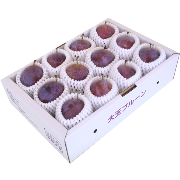 ̵ۡڸ100Ȣۻץ롼̡֥ѡץ륢1.5kg11-15̡