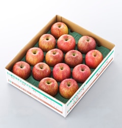 山形県産「サンふじりんご」大玉5kg（12-16玉）秀品