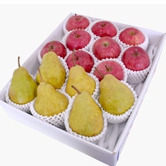 【送料無料】山形県産「シルバーベル＆サンふじりんご」詰合せ5kg（サイズおまかせ）