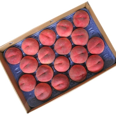 【送料無料】山形県産白桃「あかつき」お徳用５kg（12-20玉入り）