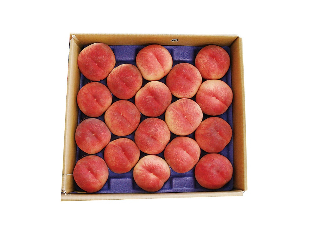 【送料無料】山形県産黄桃「黄金桃」お徳用５kg(18-20玉)