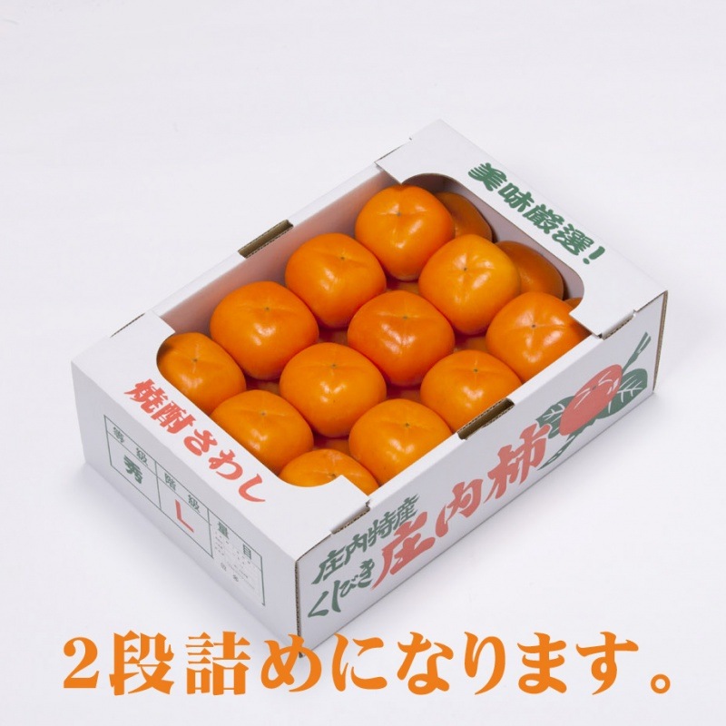 前払い不可】山形県産庄内柿「平たねなし柿」5kg（24-30玉）【前払い