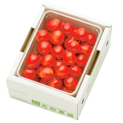 山形県産さくらんぼ「南陽」500g（500g×1P）バラ詰2L