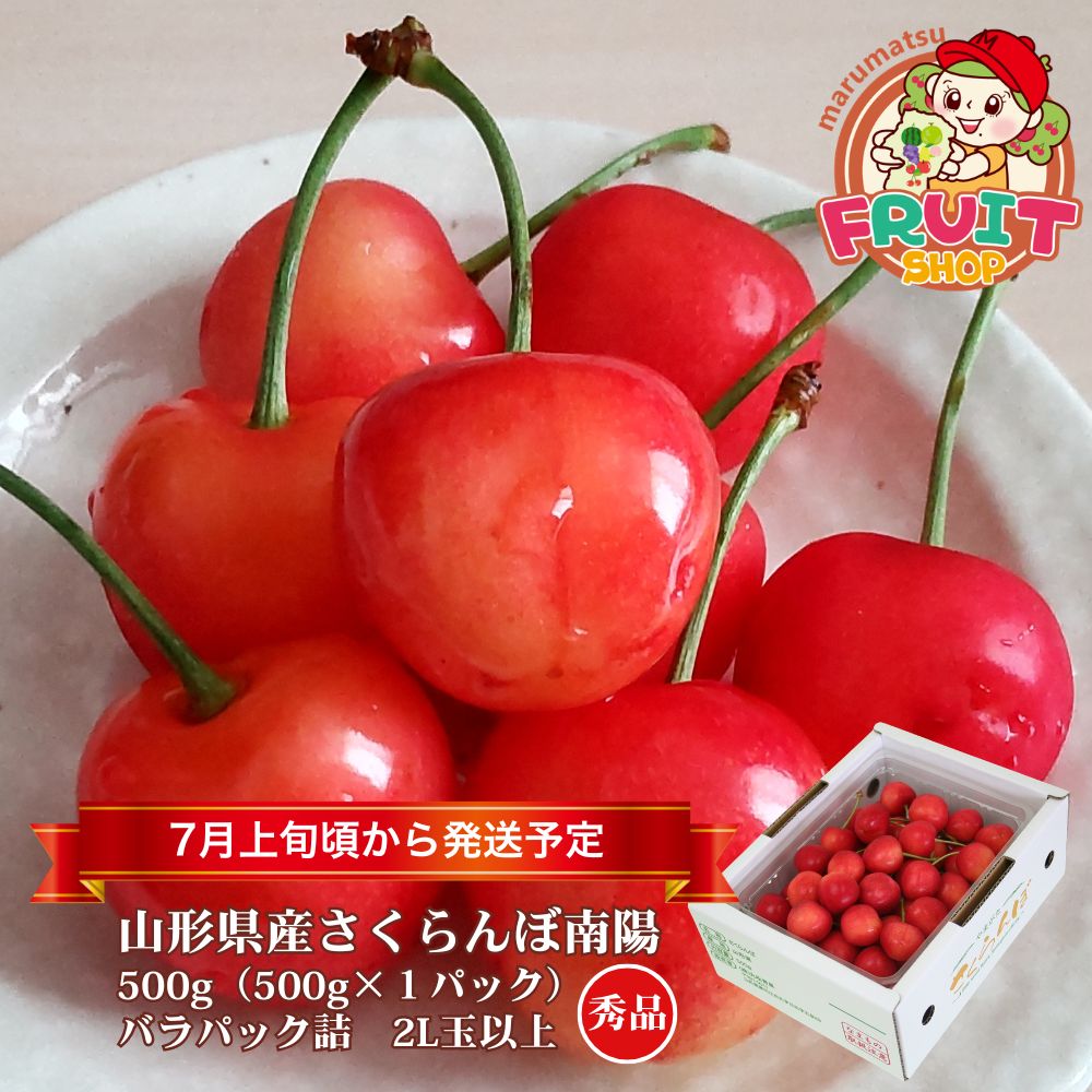 【送料無料】山形県産さくらんぼ「南陽」500g（500g×1P）バラ詰2L