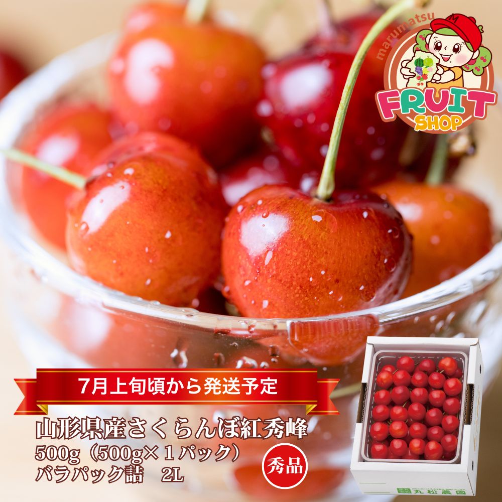 【送料無料】山形県産さくらんぼ「紅秀峰」500g（500g×1P）バラ詰2L