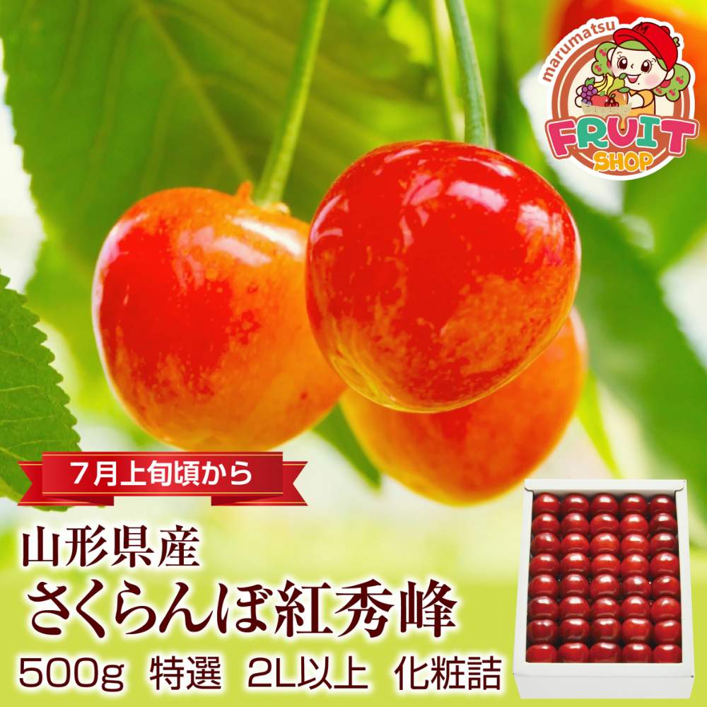 【送料無料】山形県産さくらんぼ「紅秀峰」500g化粧詰特選2L