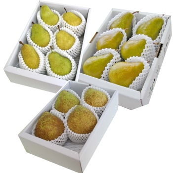 【送料無料】【限定50セット】 西洋梨頒布会（3回コース）