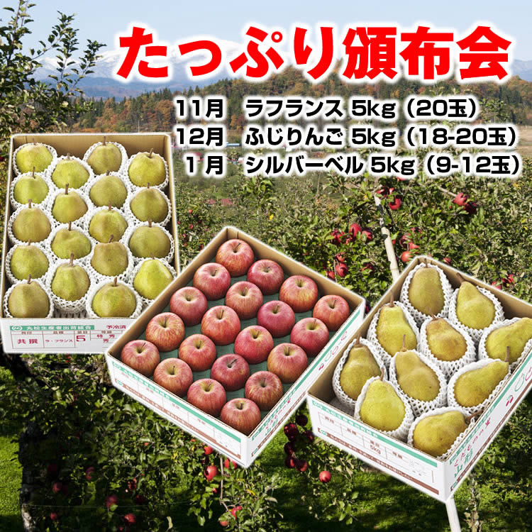 【送料無料】冬のお楽しみ「お徳用たっぷり頒布会」（３回コース）