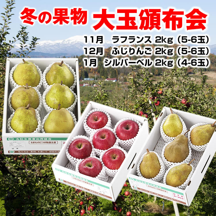 【送料無料】冬のお楽しみ「贅沢大玉頒布会」（3回コース）