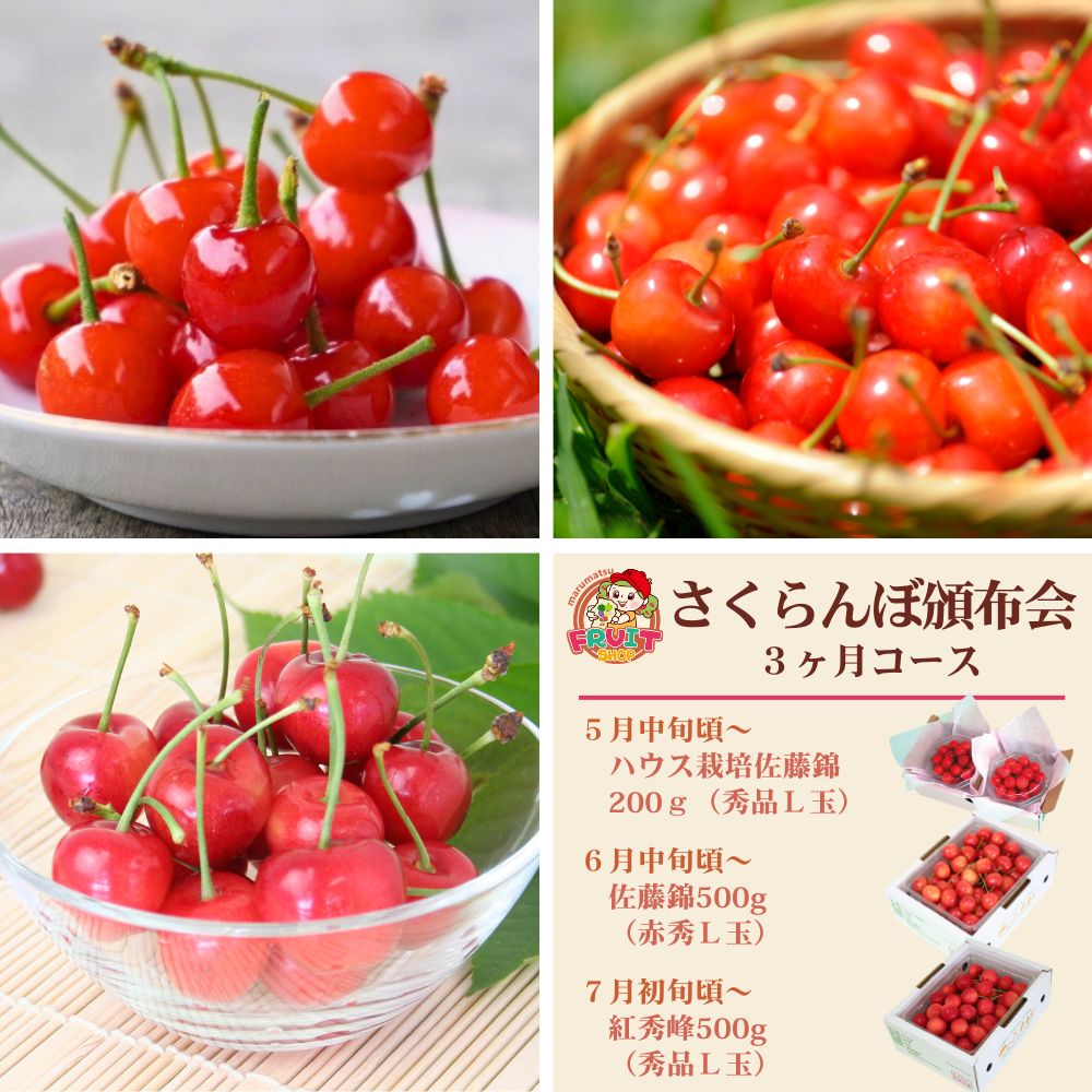 【送料無料】山形名産「さくらんぼ頒布会」３ヶ月コース(5-7月)