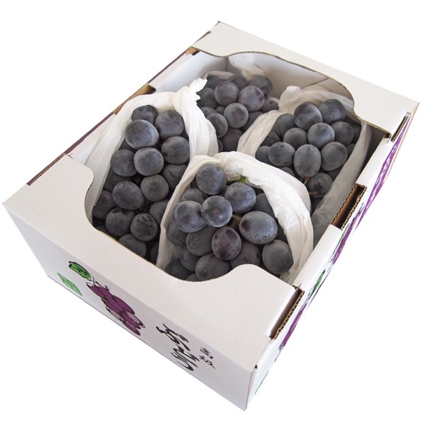 【前払い不可】山形県産大粒ぶどう｢巨峰｣ 種無し ２kg(3-5房)