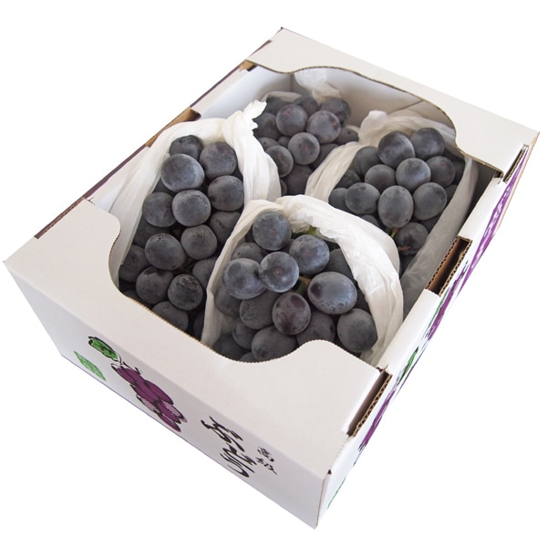 ʧԲġۻγ֤ɤ ̵ kg(3-5˼)