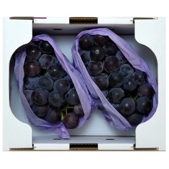 ������̵���ۻ���������γ�֤ɤ��֥˥塼�ԥ����͡� ��̵�� 1.4kg(2-3˼)