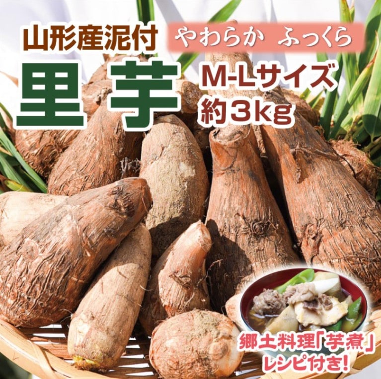 【年内発送12/18ご注文分まで】山形県産「里芋」３kg（M～Lサイズ）泥付き【送料無料】