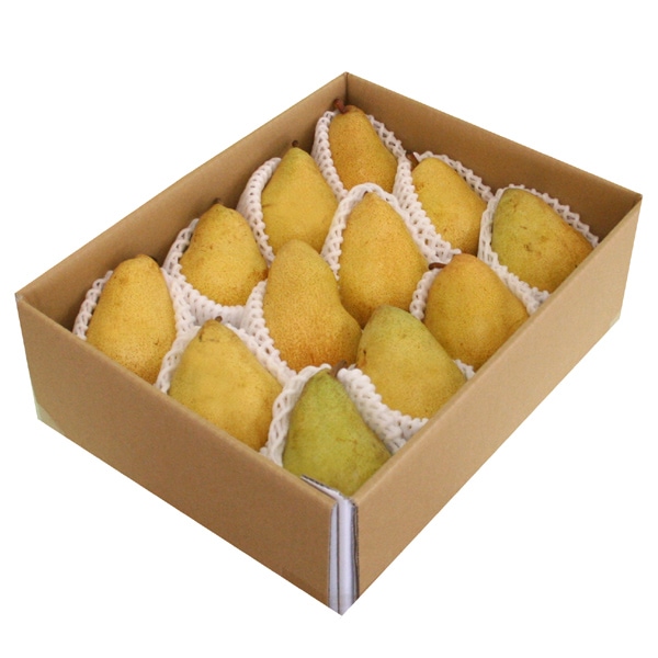 ̵ۻ֥ޥ륲åȥޥ꡼פѣkg(9-12)