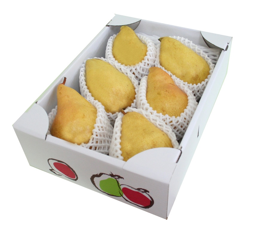 【送料無料】山形県産洋梨「マルゲリットマリーラ」大玉3kg(5-8玉)