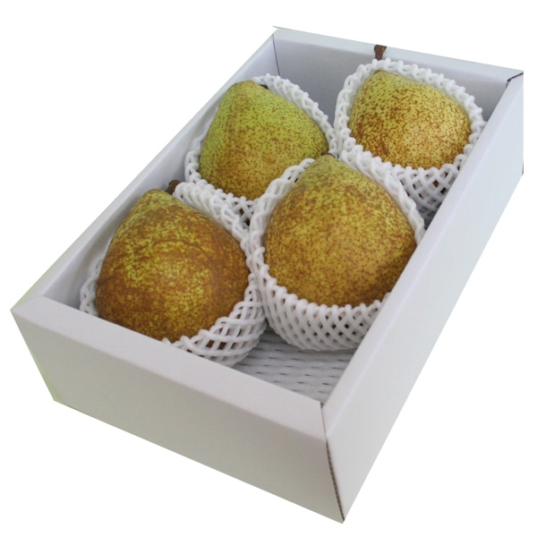 【送料無料】山形県産洋梨「ゼネラルレクラーク」２kg(4-8玉)