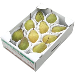 【予約】山形県産洋梨「シルバーベル」3kg（6-10玉）L-4L