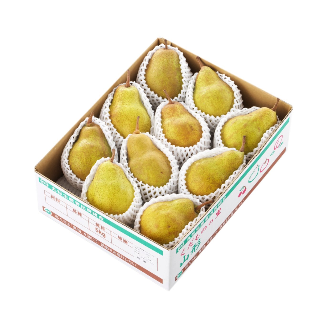 【予約】山形県産洋梨「シルバーベル」5kg（9-16玉）L-4L