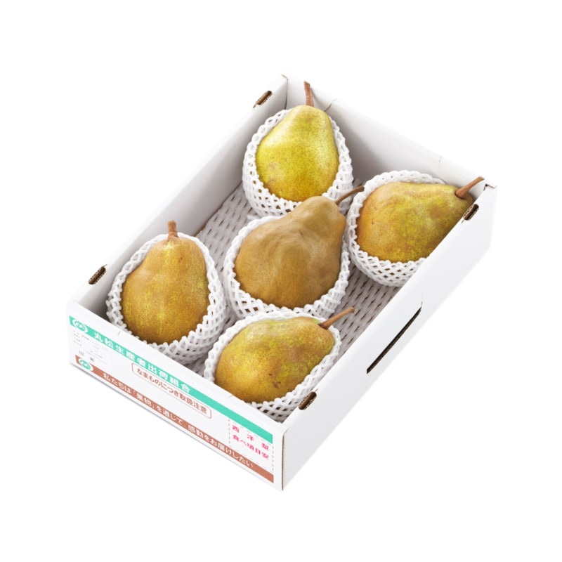 ֥С٥3kg̡4-6̡4L-6L