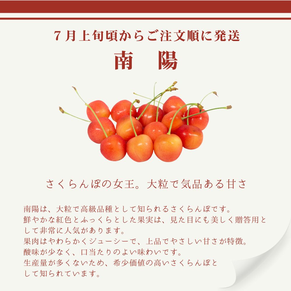 前払い(郵便・コンビニ振込用紙)不可】【送料無料】山形県産さくらんぼ
