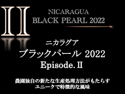驚愕の甘さ ニカラグア ブラックパール22 Ep マスターピースセレクション 農園の傑作 コーヒー豆 スペシャルティコーヒ の 通販サイト 丸美珈琲店