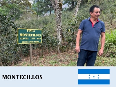 �ۥ󥸥�饹�����ƥ������祹����