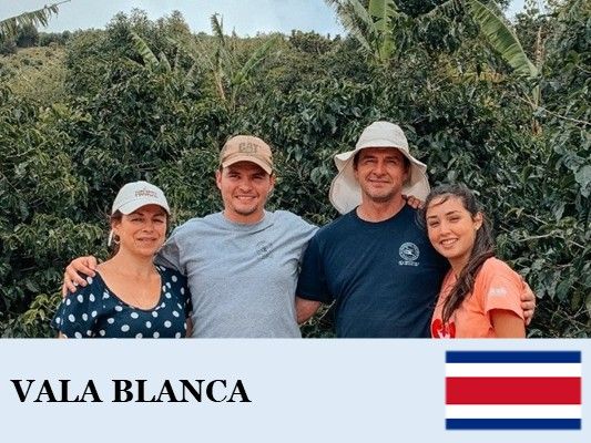 �������ꥫ���Х� �֥������ �ۥ磻�ȥϥˡ�