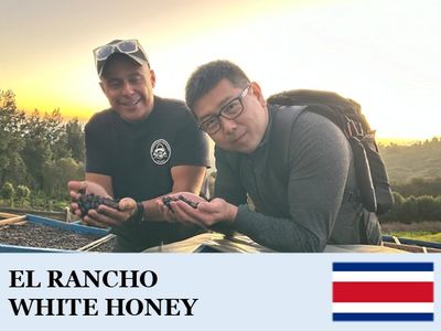 �������ꥫ������������ �ۥ磻�ȥϥˡ�