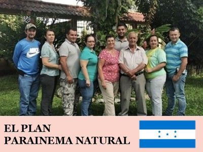 ۥ󥸥饹ץ ѥ饤ͥ޼ ʥ