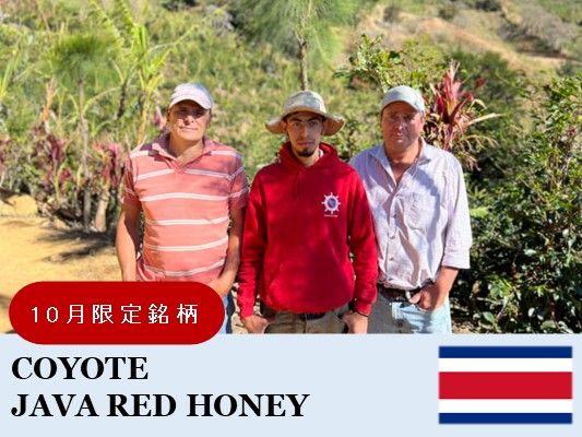 10ۥꥫ衼 м åɥϥˡ