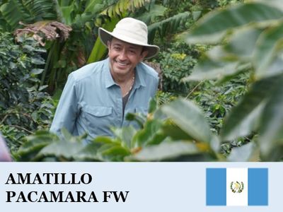 �����ƥޥ顡���ޥƥ����������� �ѥ��ޥ��