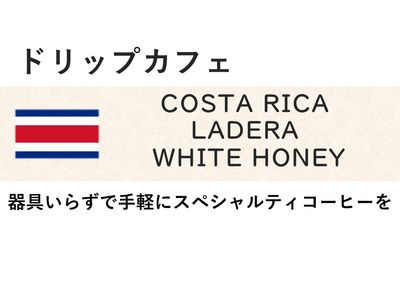 �ڥɥ�åץ��ե��ۥ������ꥫ����ǥ����� �ۥ磻�ȥϥˡ�